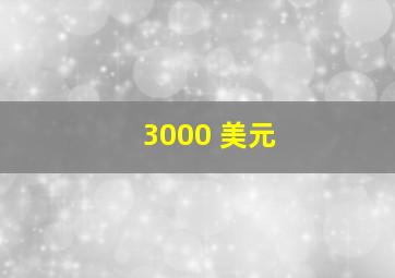 3000 美元